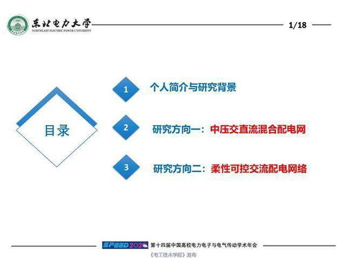 东北电力大学刘闯教授 柔性电网络及其关键装备技术研究与思考